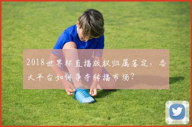 2018世界杯直播版权归属落定，各大平台如何争夺转播市场？
