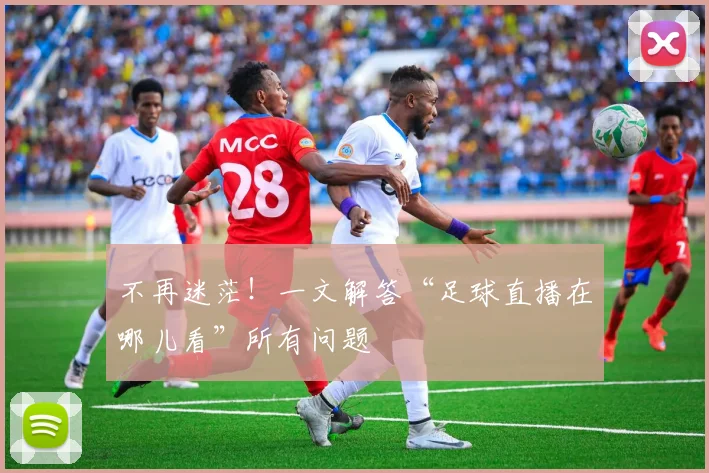 不再迷茫！一文解答“足球直播在哪儿看”所有问题